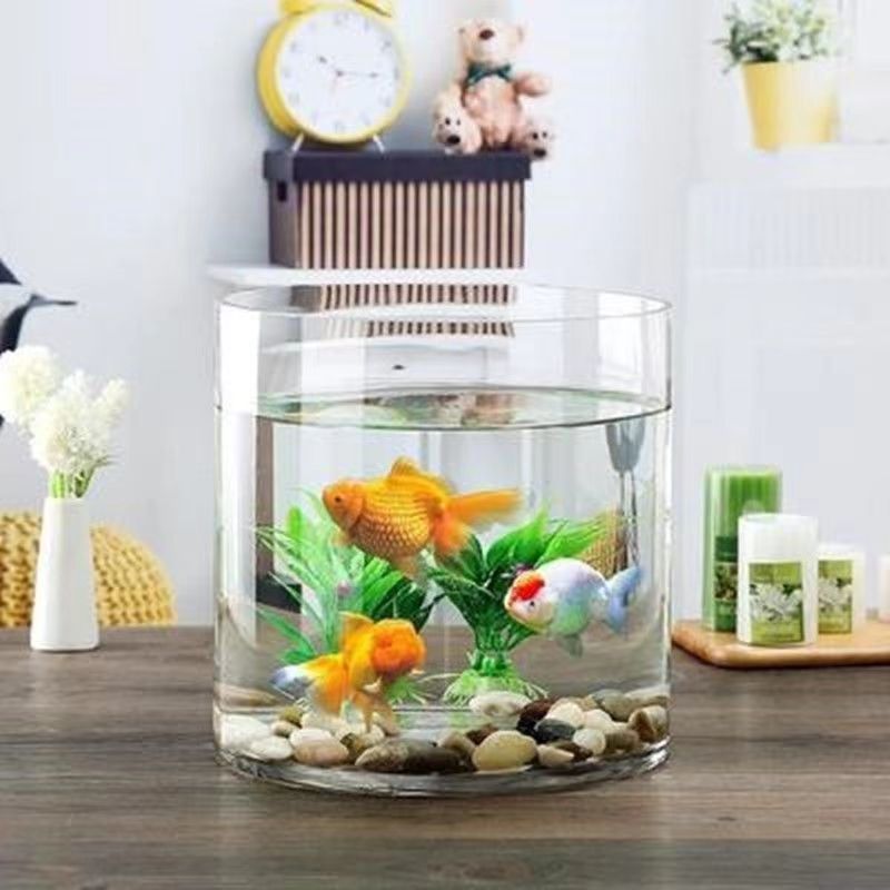 b06f98b7-fe41-45f1-a044-b3ae0211adc7.jpe