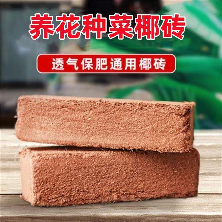 818168b5-e7ac-4eb2-860f-4f7d74265234.jpe