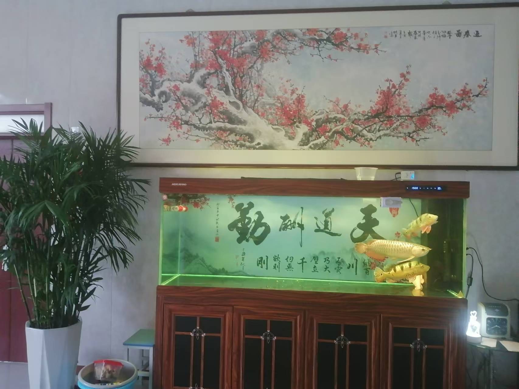 微信图片_20241031170523