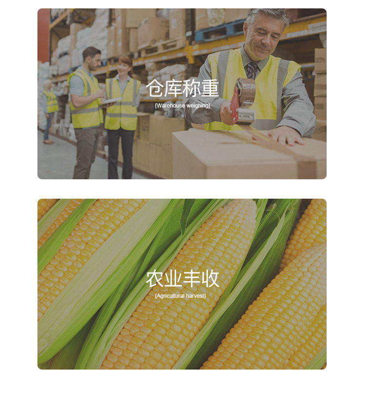 ecc415c9-6369-4769-be22-bedf78d183e8.jpe