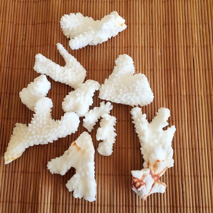 43aa1663-5f21-41f4-bcee-b59f7bb19423.jpe