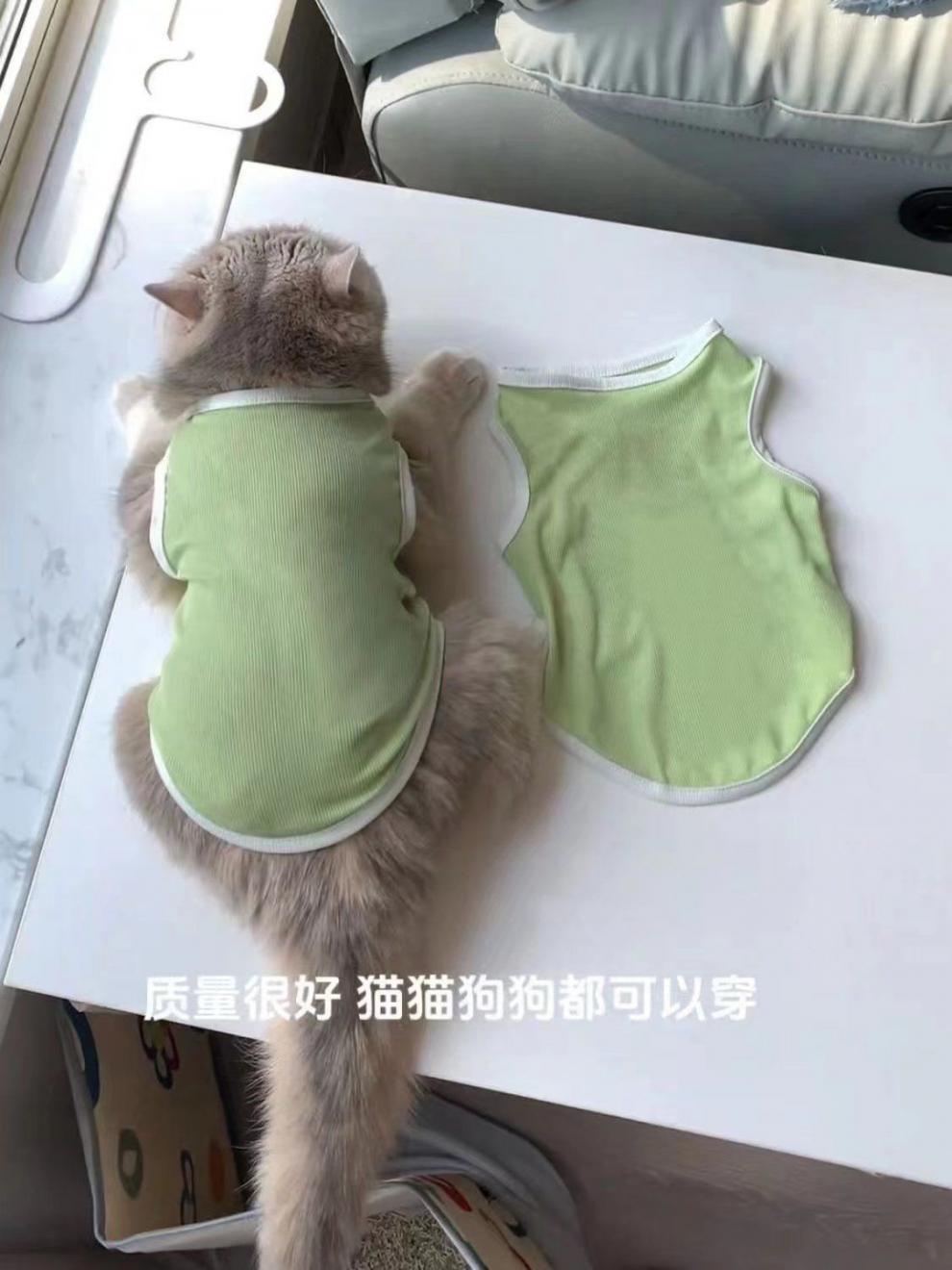 c2f2a882-0113-4e30-b1b9-988fe22cb6ad.jpe