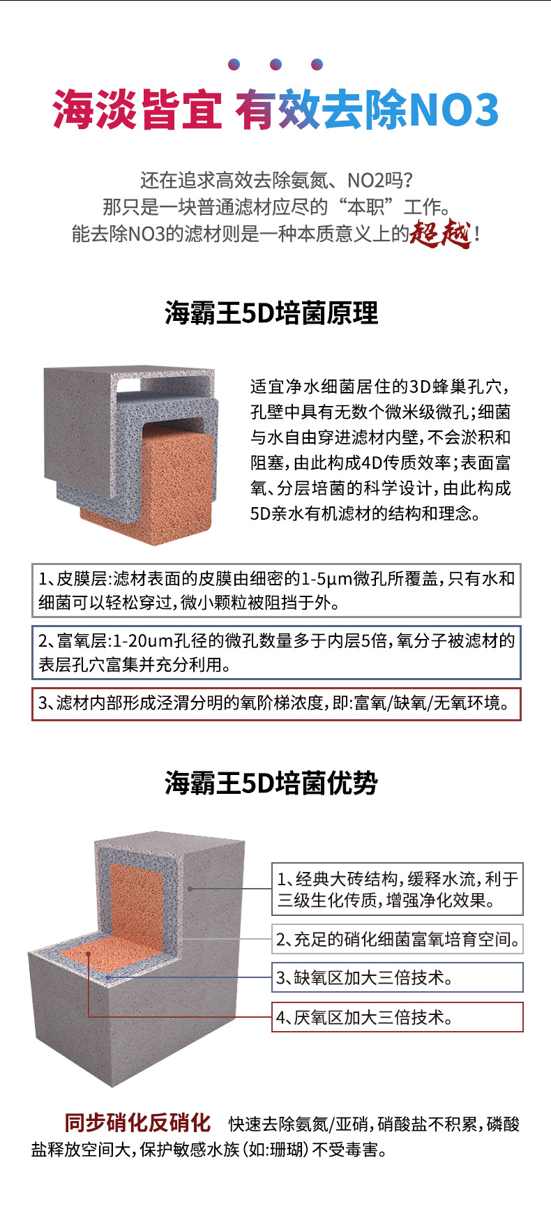 海霸王9.jpg
