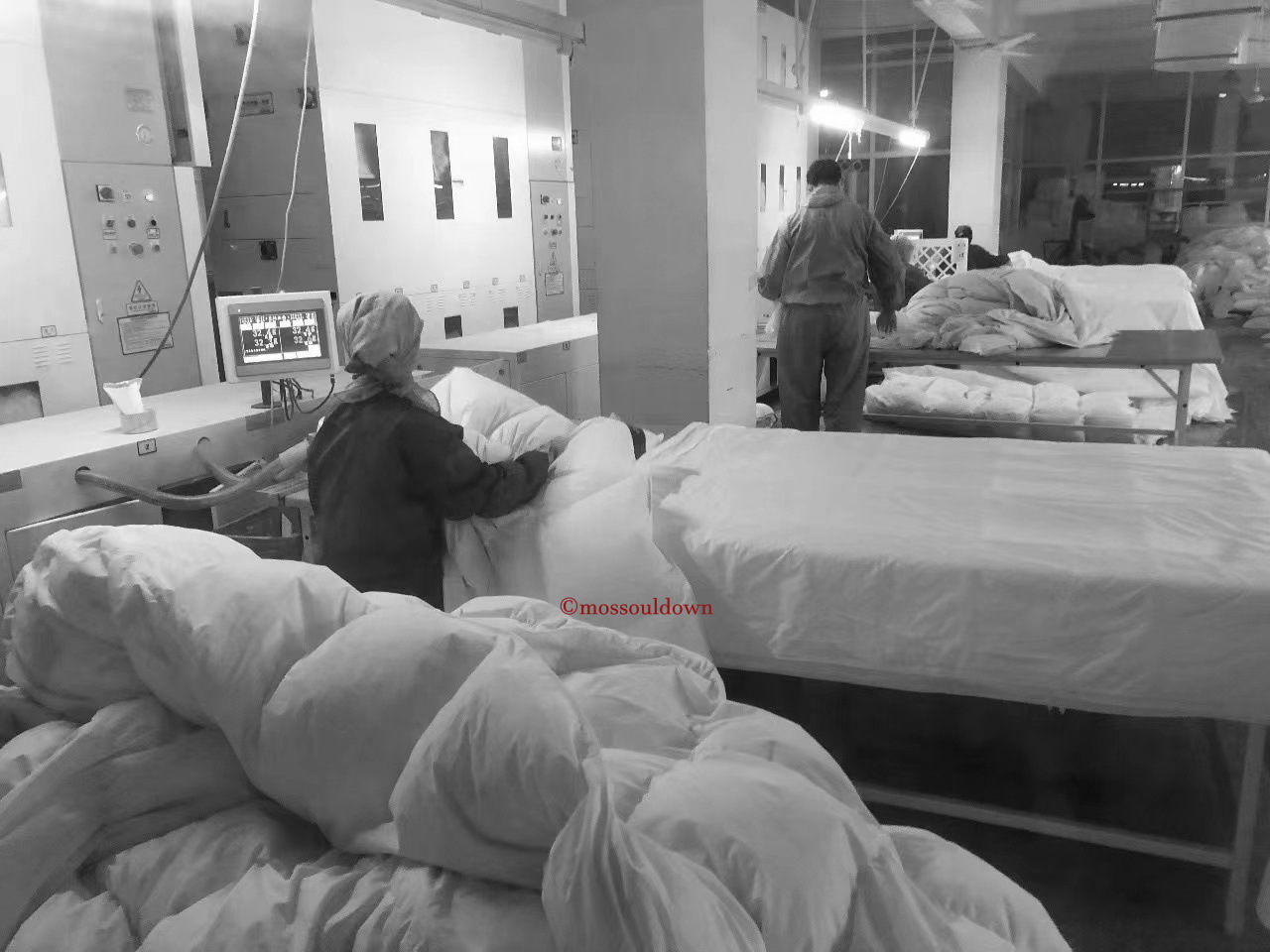 微信图片_20221110184942_副本