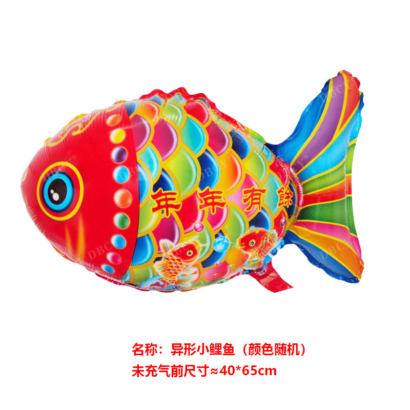 小鲤鱼