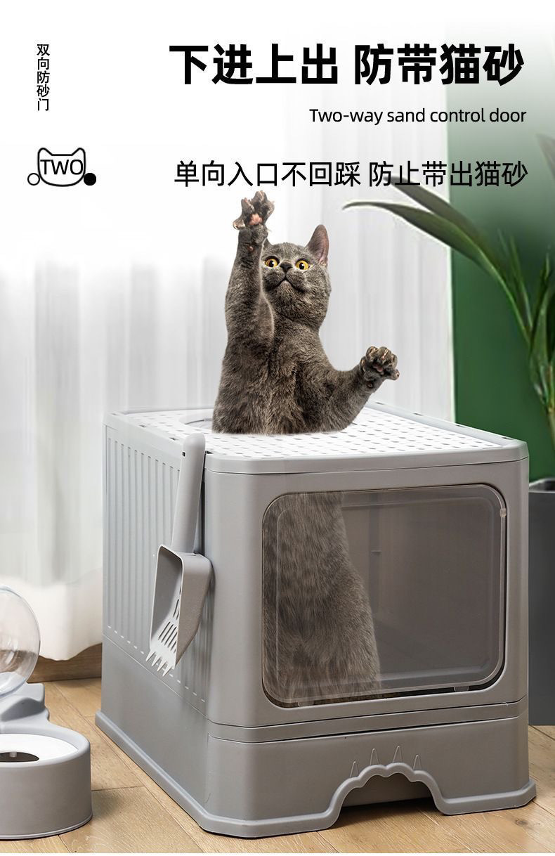 76369389-842a-4ad9-bcad-c0e87b0d20dd.jpe