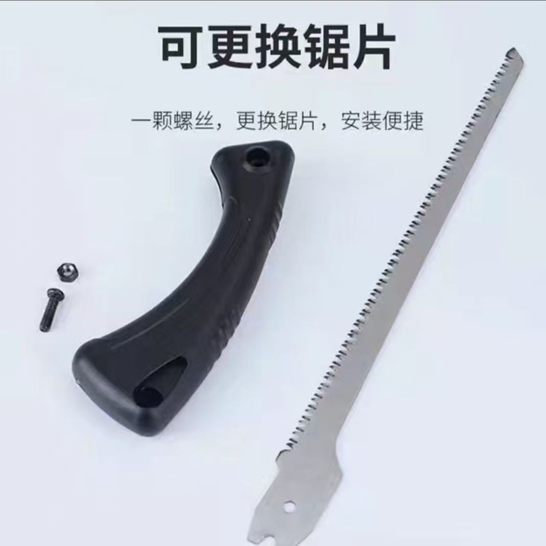 微信图片_20251023103255_225_6