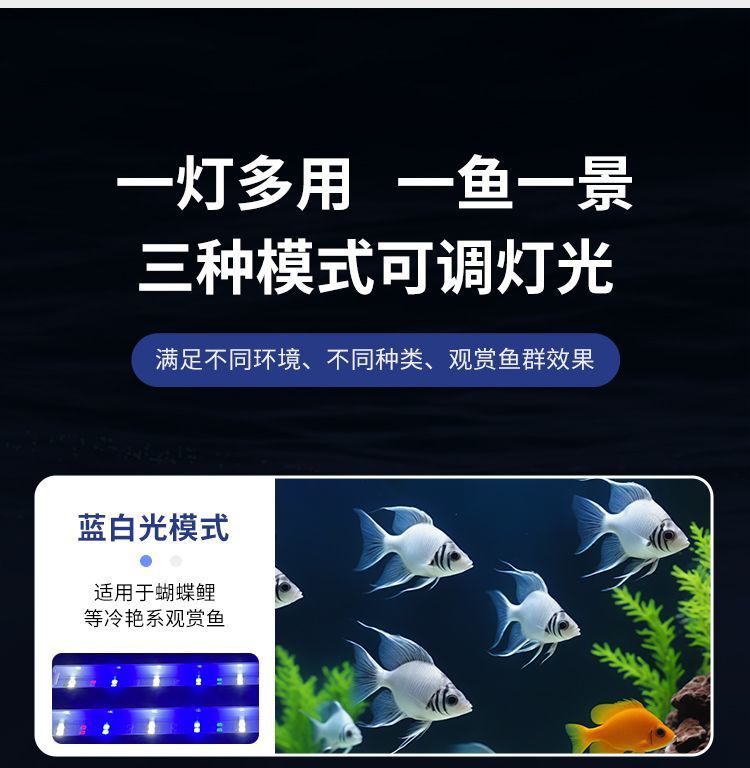 3186d568-59ef-4dd3-990e-3fda106f7388.jpe