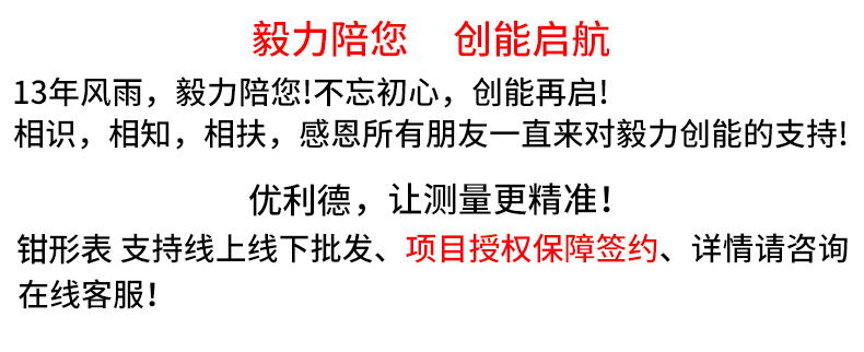 优利德UT200系列钳形表详情_01