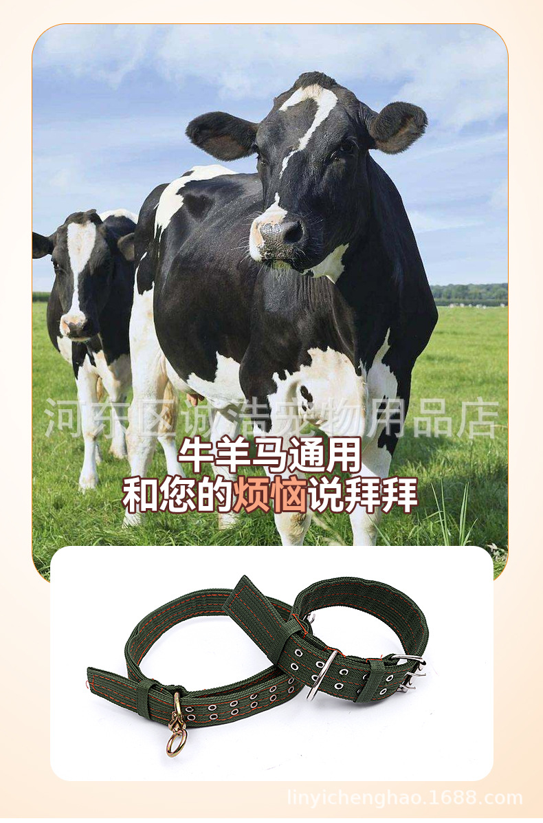 嘉贝宠爱宠物用品_04