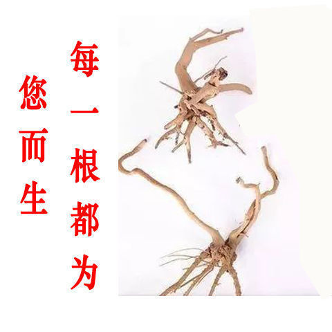 8066f57c-d47f-48bf-bd2a-e3bd58ccf59a.jpe