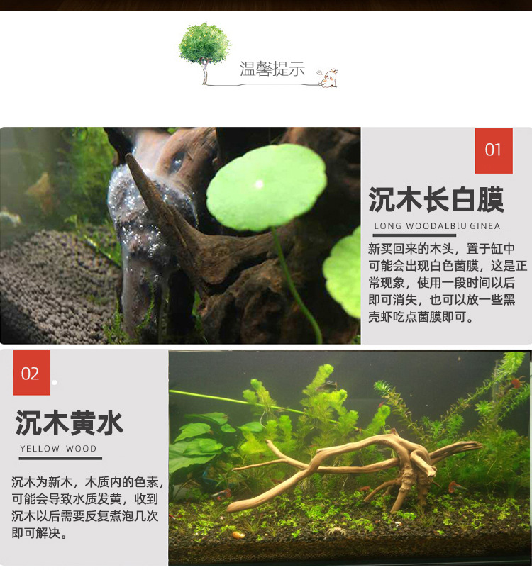 栖根新详情20220609_10