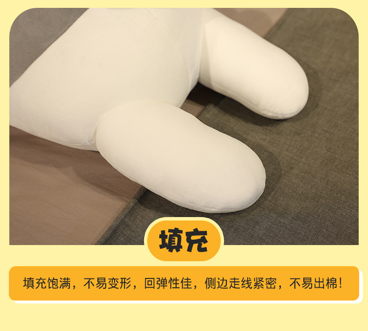 48-毛老师抱枕