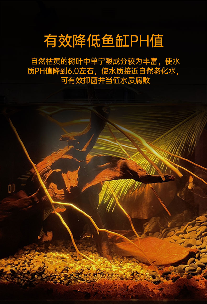 详情_03.jpg