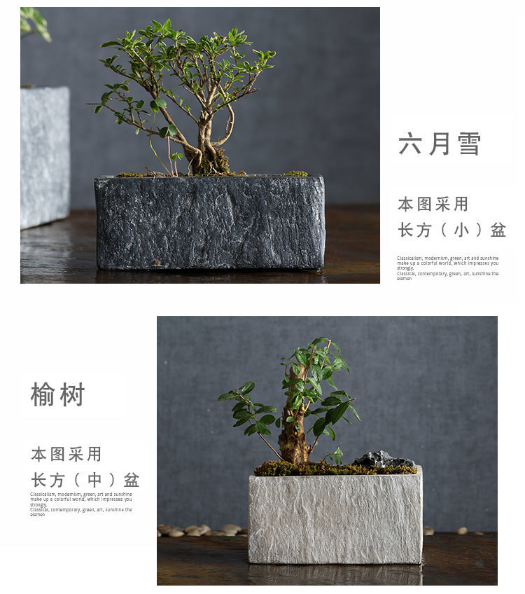 1f5da575-1c8c-4364-b9eb-c016c19f5067.jpg