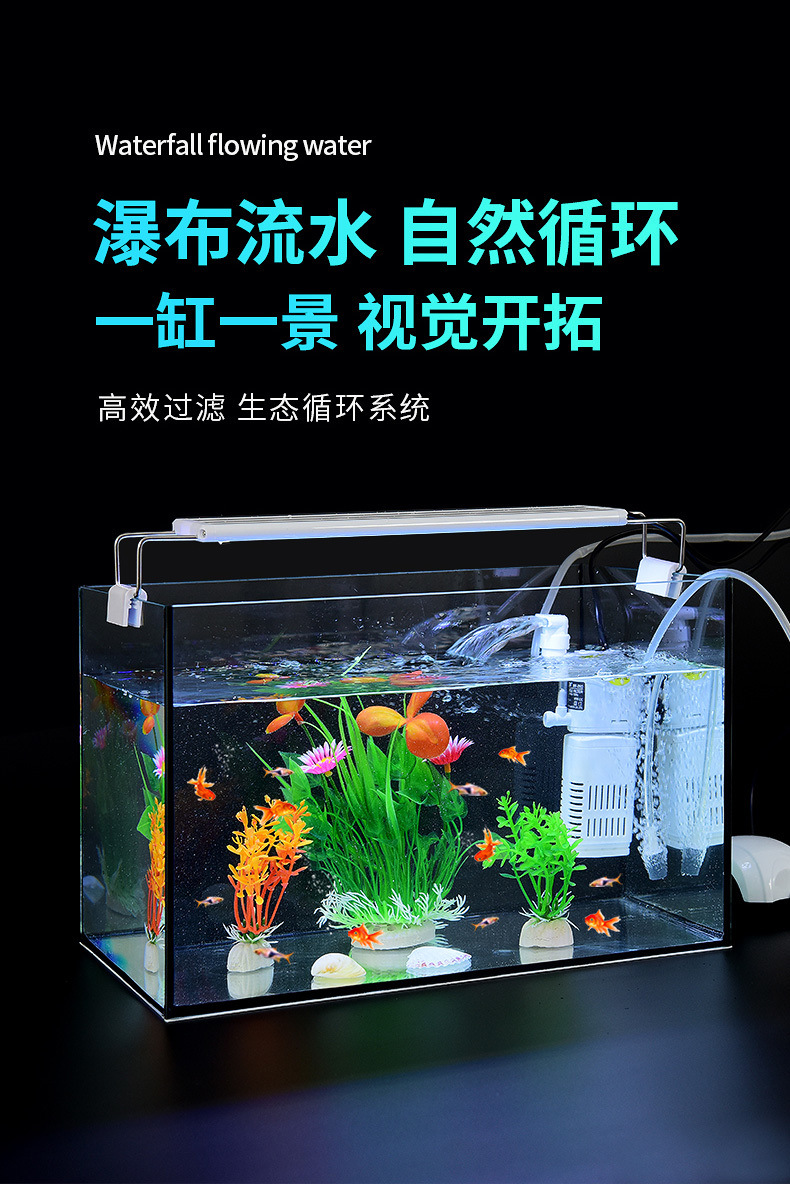 f1bca896-902a-42ae-b621-675123c70232.jpe