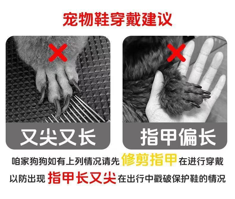 209b2ca4-303e-4915-8e5c-3fa29283fffa.jpe