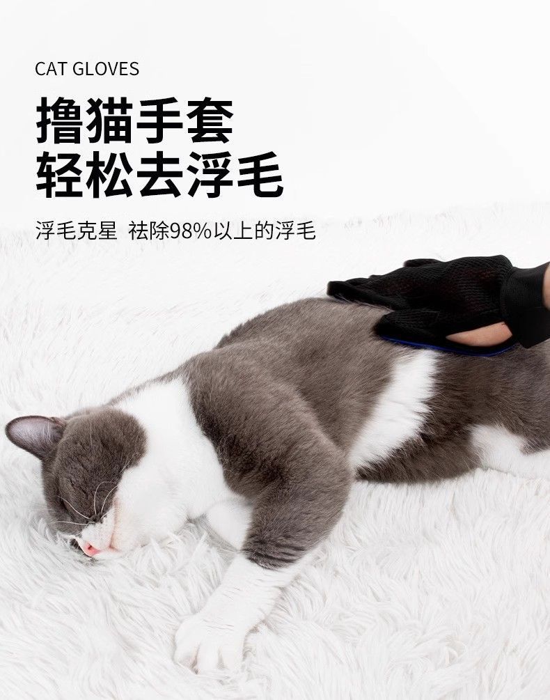 20becae0-4dc8-426d-831e-8d7cbd66c78b.jpe