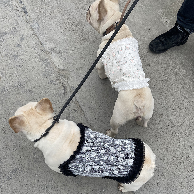 微信图片_20220114212238