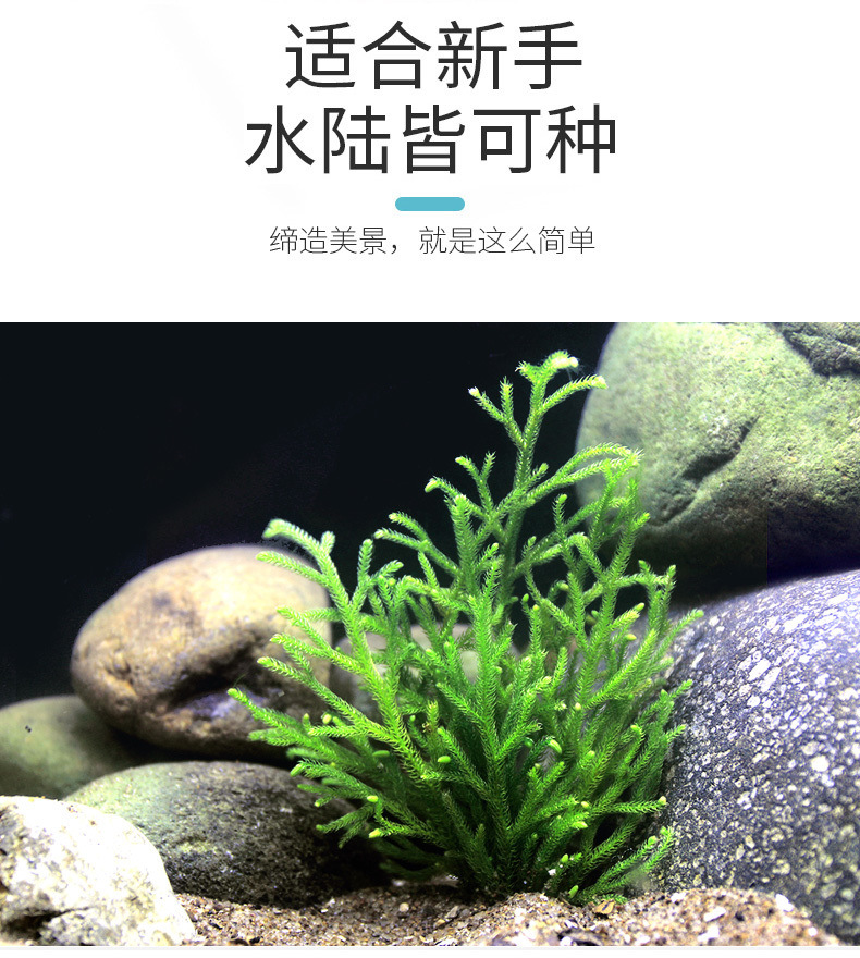 45f912f4-fbbe-4787-b55a-436a02256faa.jpe