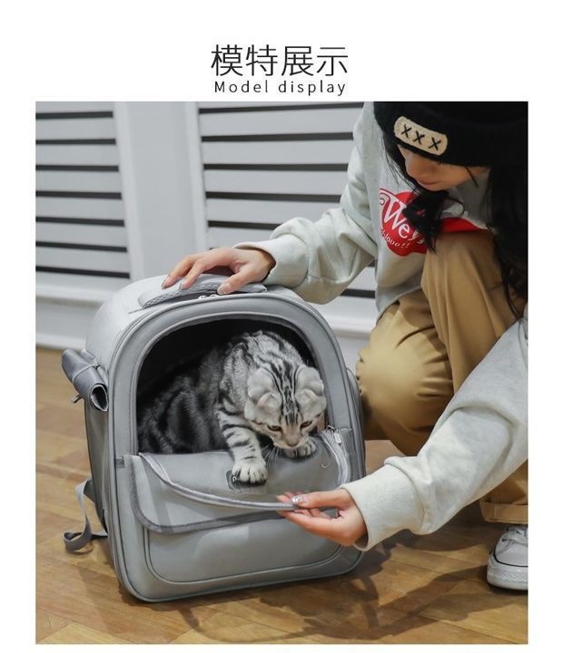 aa844be2-3c8d-4e33-b450-beb36326f90a.jpe