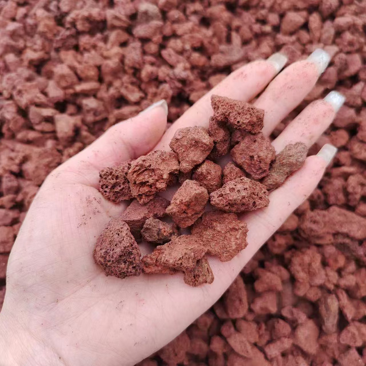 微信图片_20250221132430