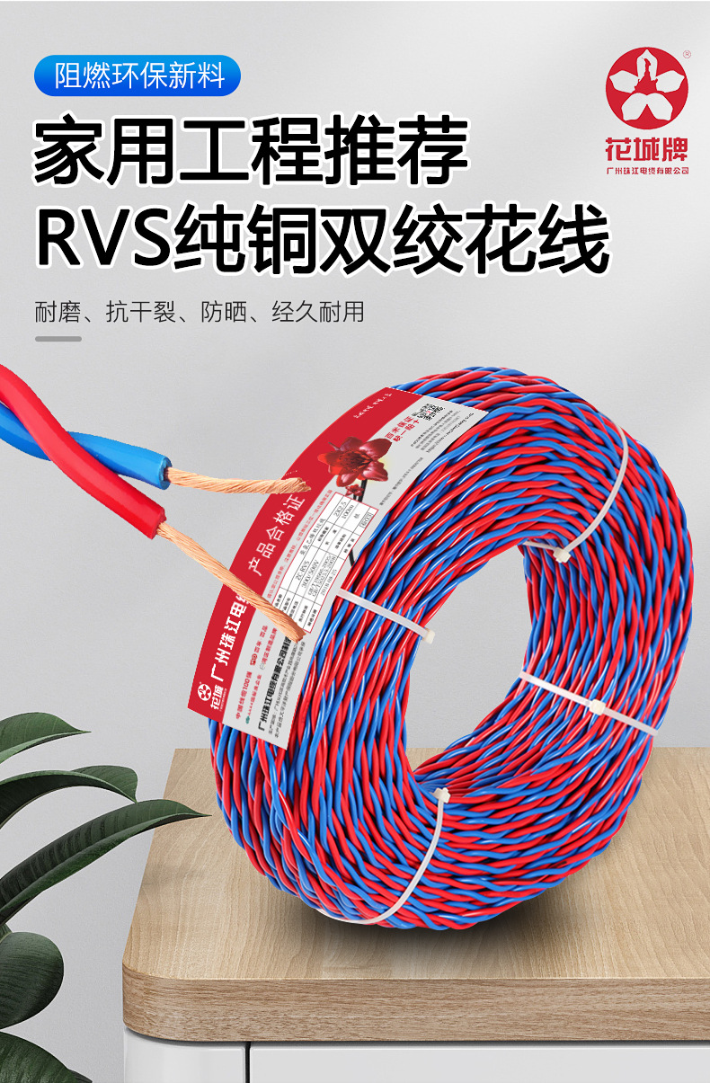 rvs_05.jpg