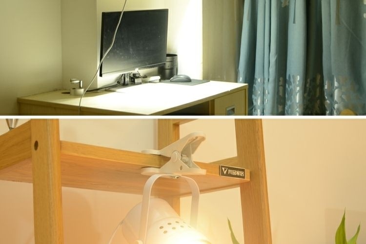 75d6c9ca-ff6c-43ed-9b04-052e4d6583c9.jpe