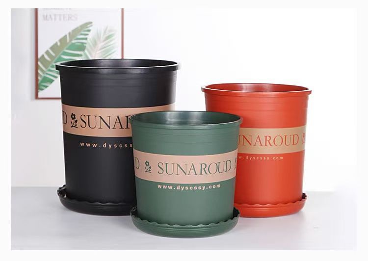 c4676ec4-d885-4f99-9141-c8a6008f70d1.jpe