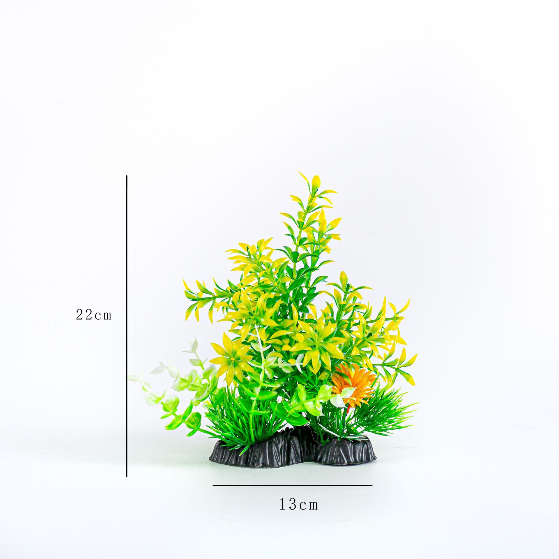 IMG_5441  22    20  13