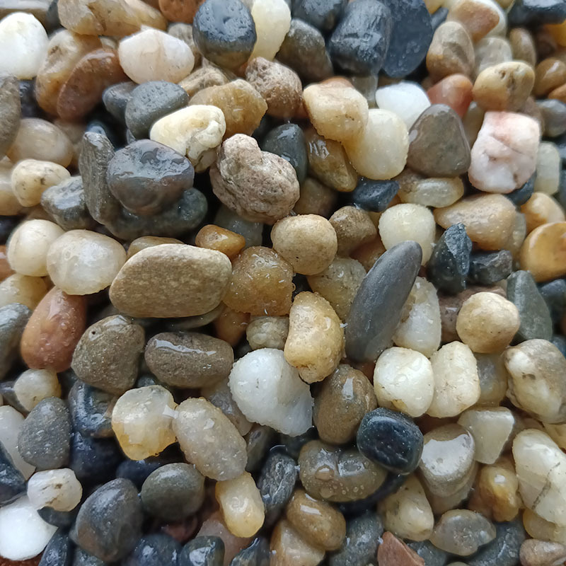 IMG_20220902_163114_Burst01.jp