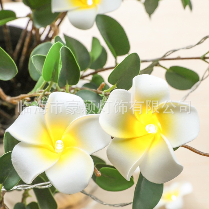 微信图片_20231130085837