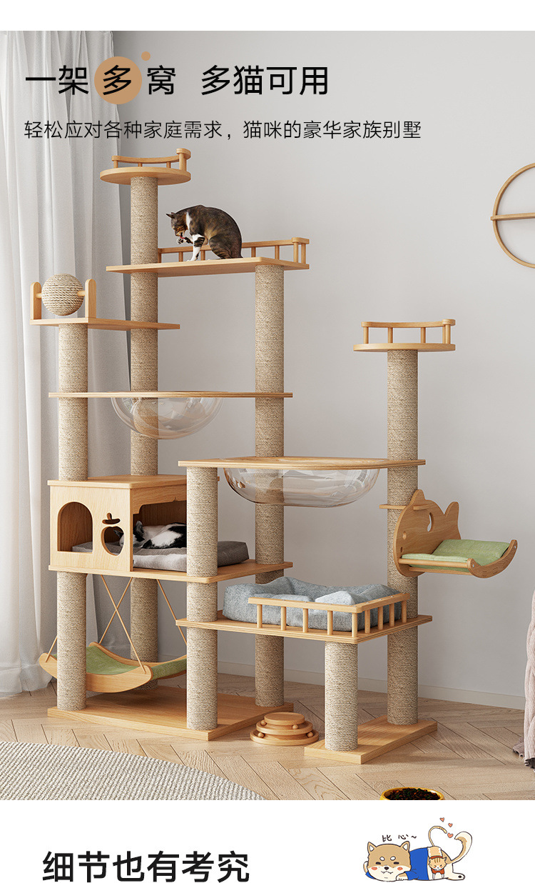 2665c207-f742-4a08-81c2-bb355fdc61e8.jpe