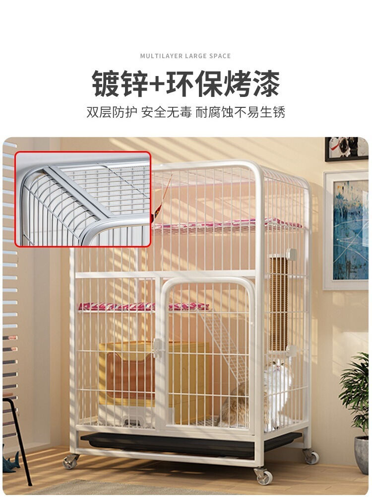 cb23819f-591f-46a2-9e7b-8ed5cbf70cb4.jpe