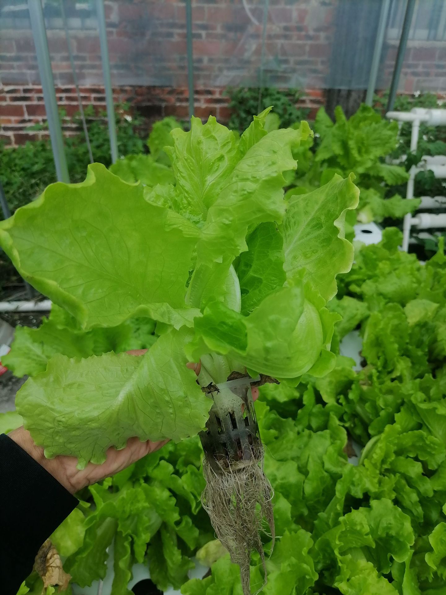 微信图片_20240625143100