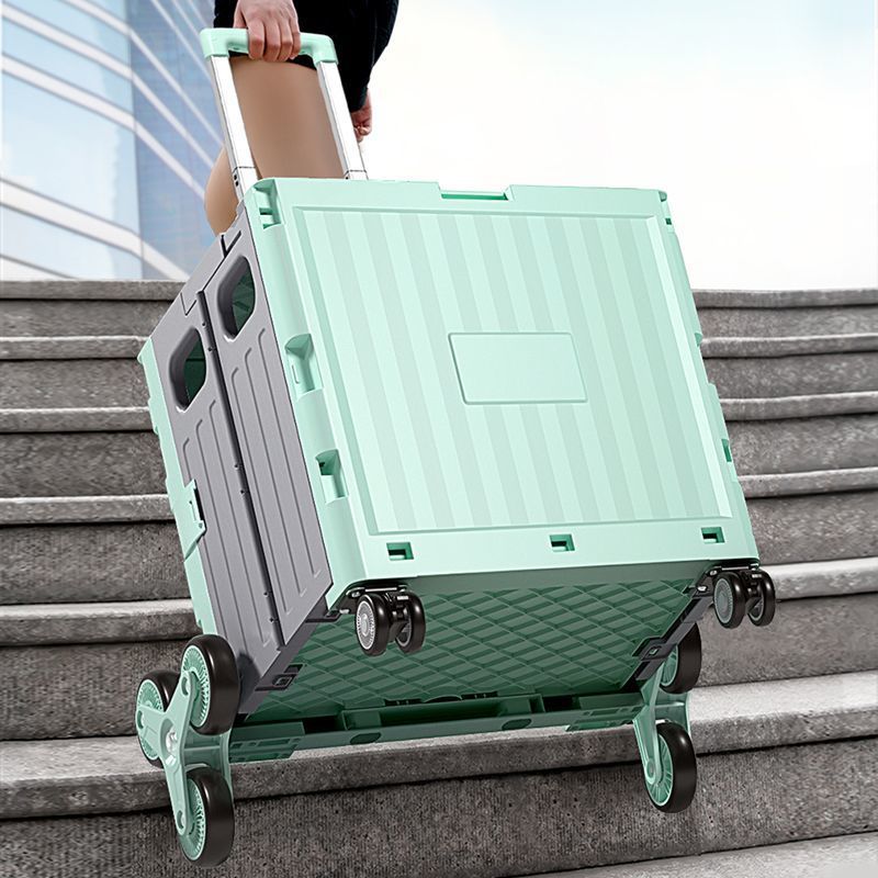 6089ef9b-f8e5-4981-8cfe-8f50dfe8a2da.jpe