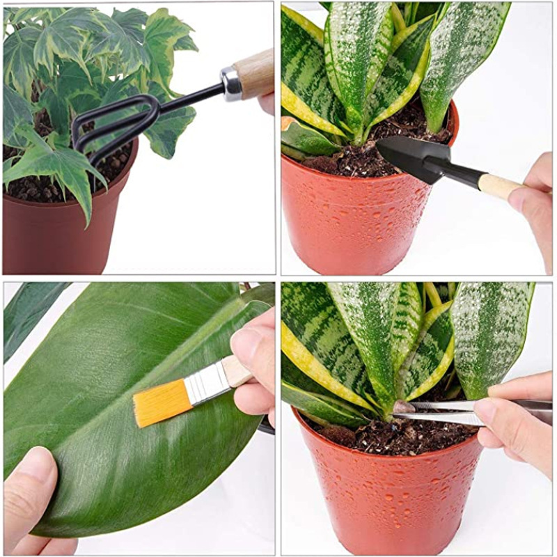 O1CN01uPfhGn1FN8OVnvDrH_!!2210