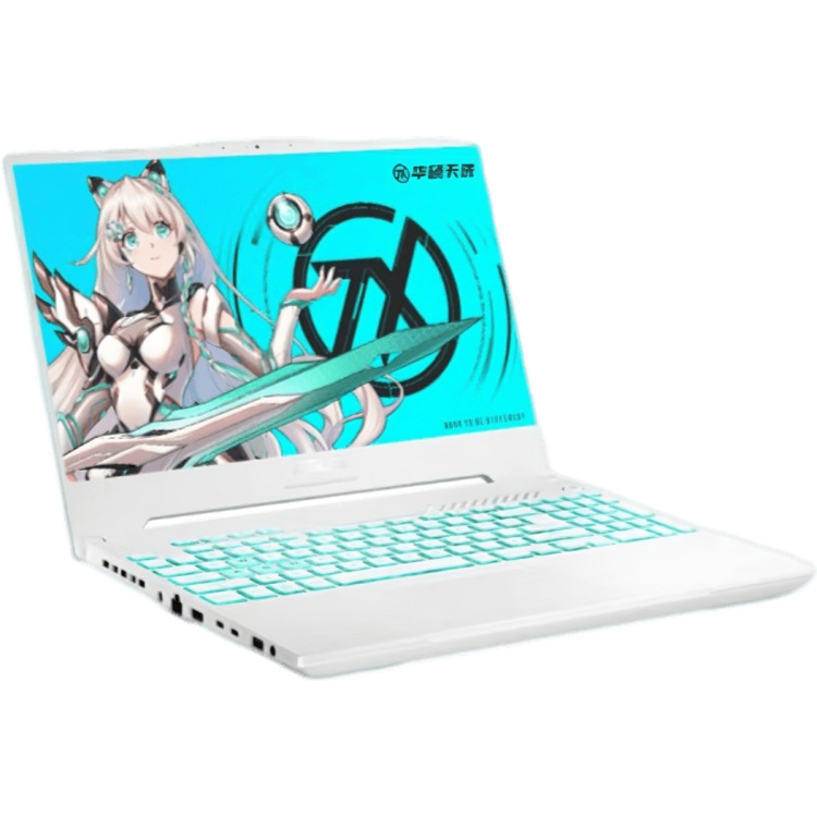 FX517ZM I7-12650H 16G 512 3060