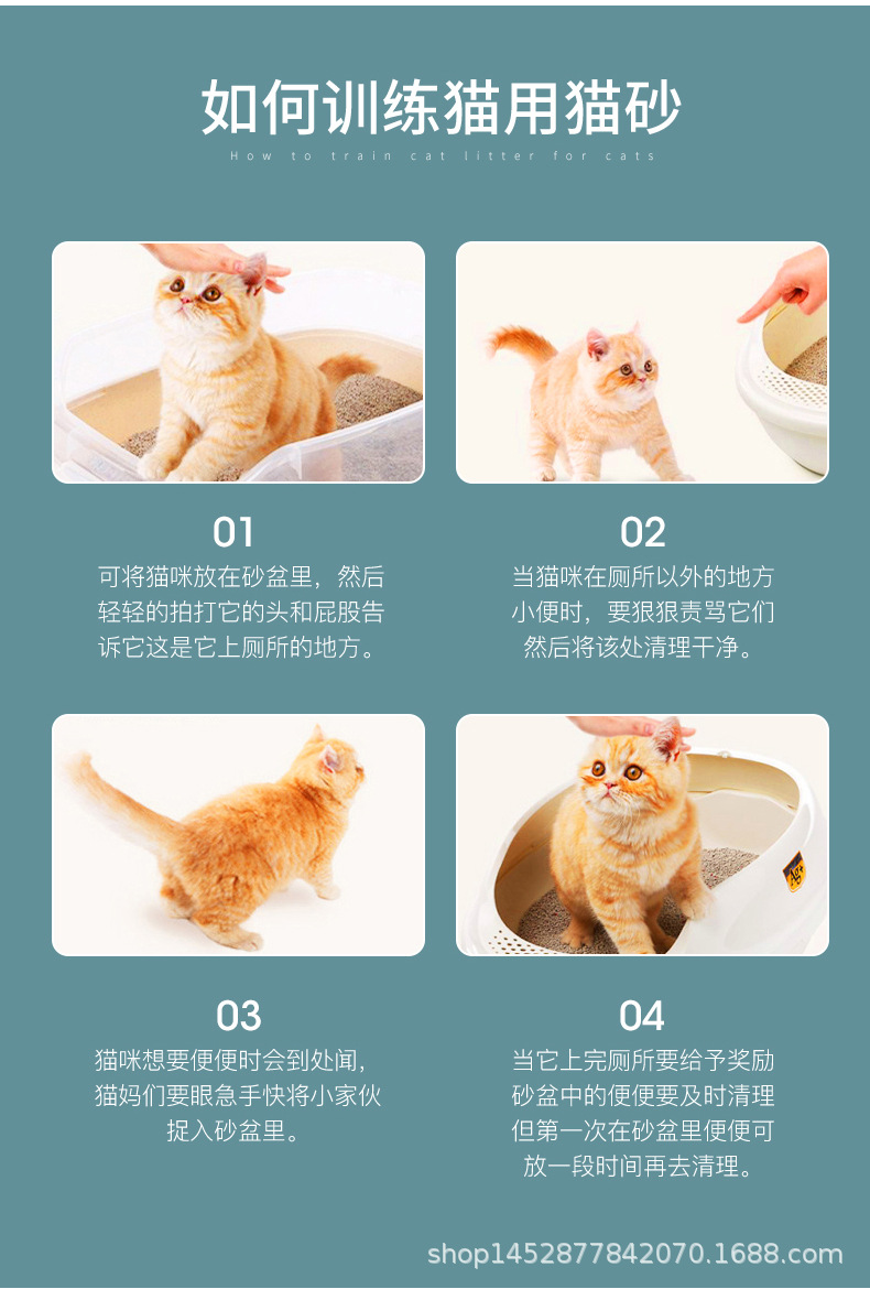 1_08.jpg