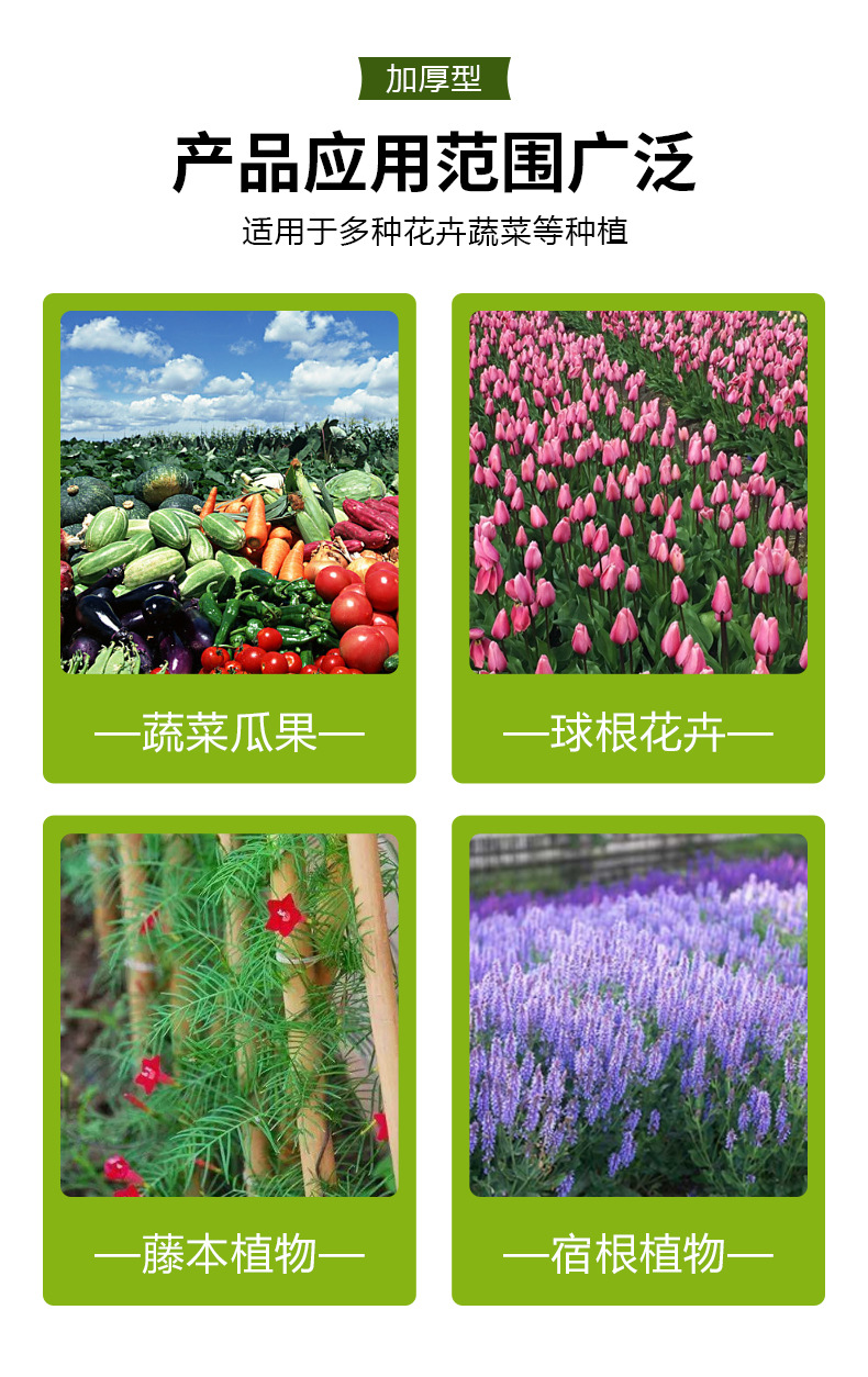 详情_07.jpg
