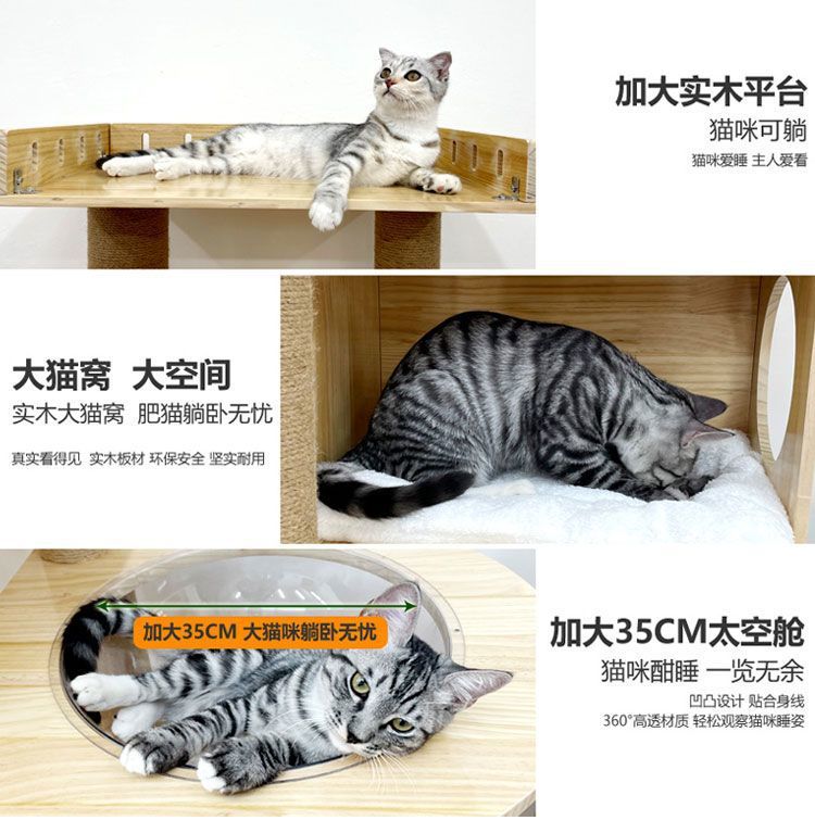 4db74023-baed-4468-83ff-5dd87a4fc504.jpe