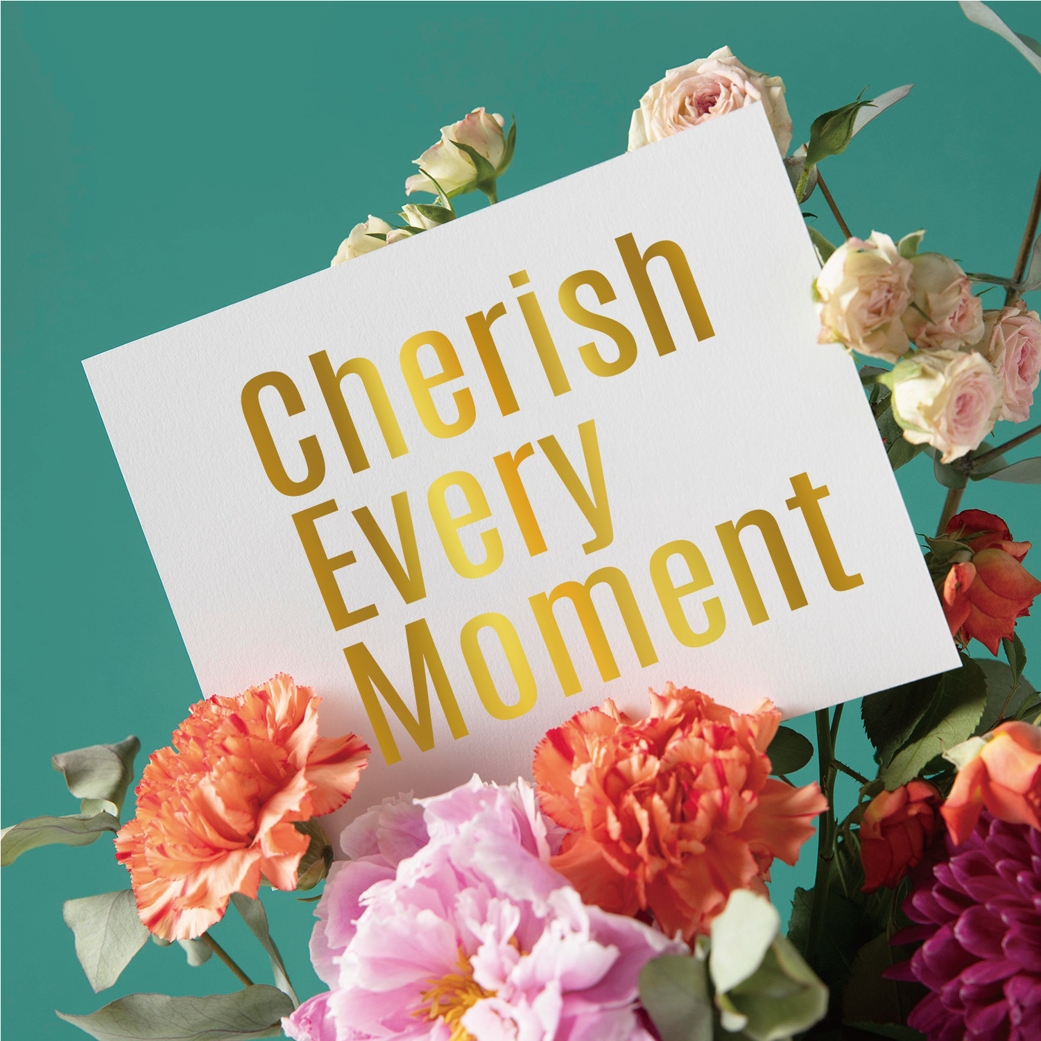 1英寸精装黑体金 主图-09.jpg