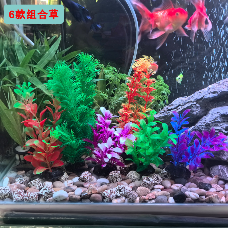 微信图片_2025-08-10_102728_188