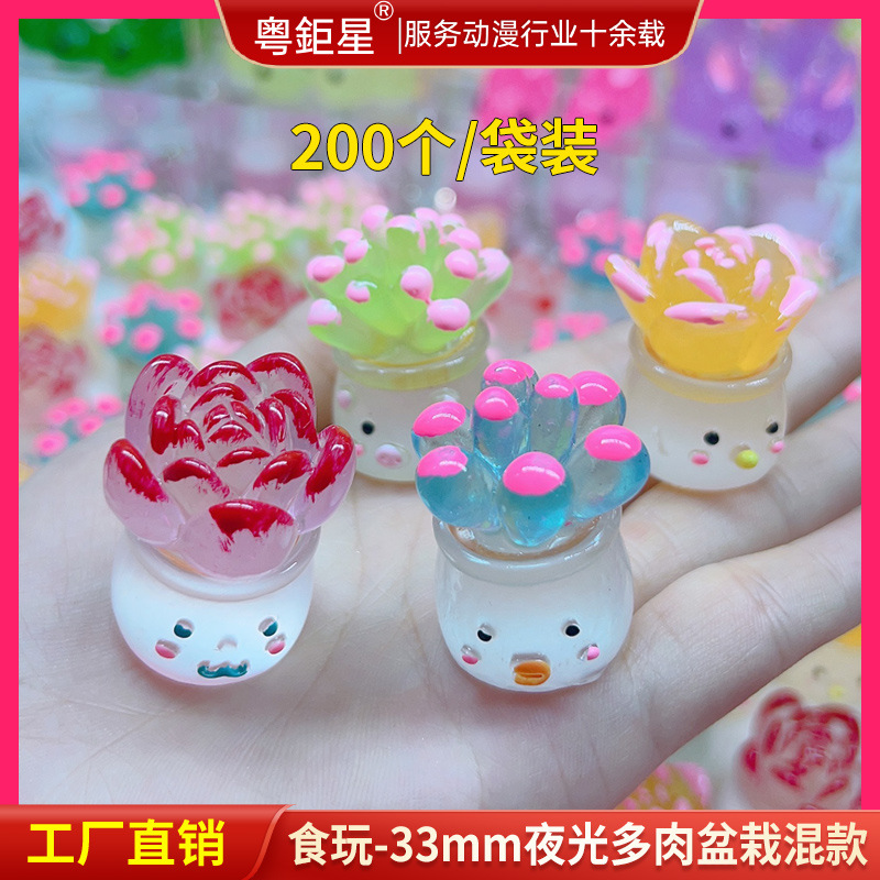 1比1颜色分类-3mm夜光多肉盆栽