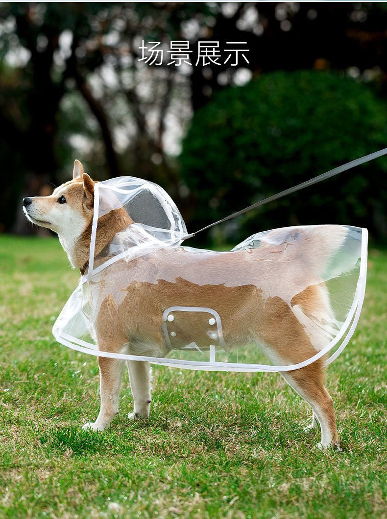 234aa0fd-ea73-4edb-a0ed-e62bd187c1f1.jpe