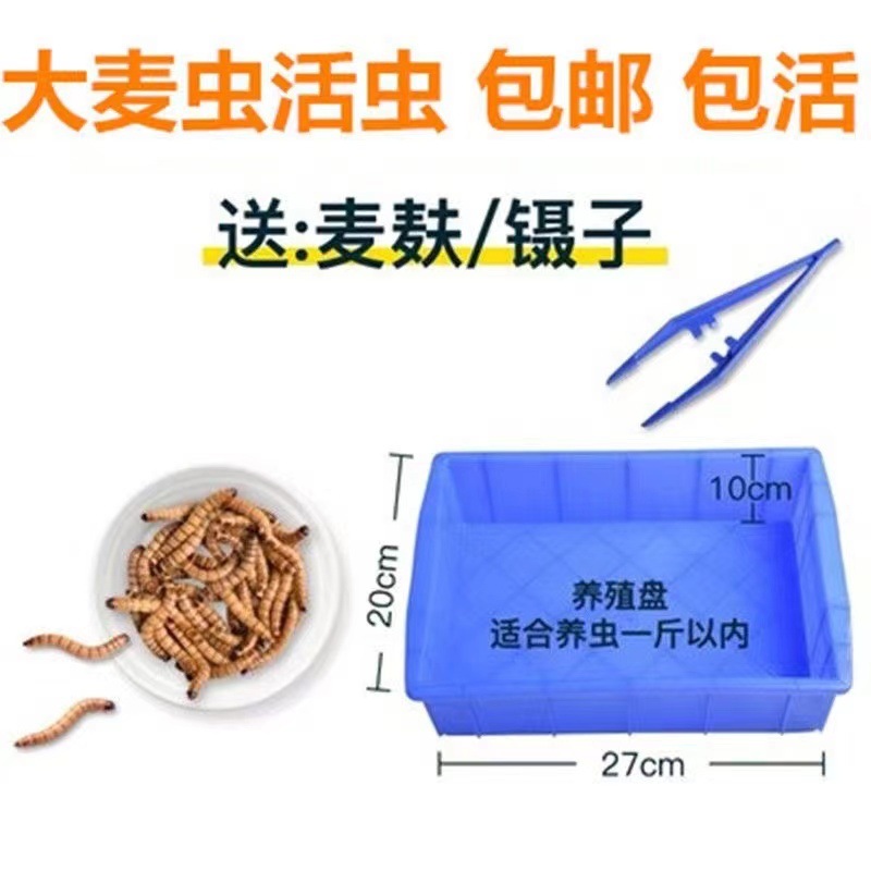 cb50ca8c-e61e-4136-8ffd-7a7e490f89d9.jpe