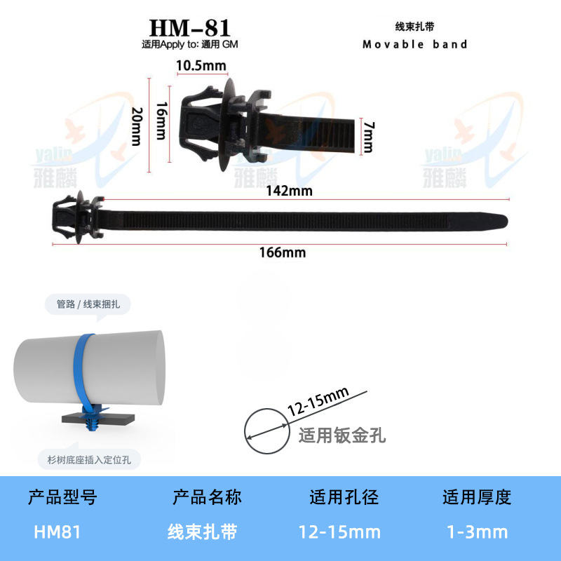HM81