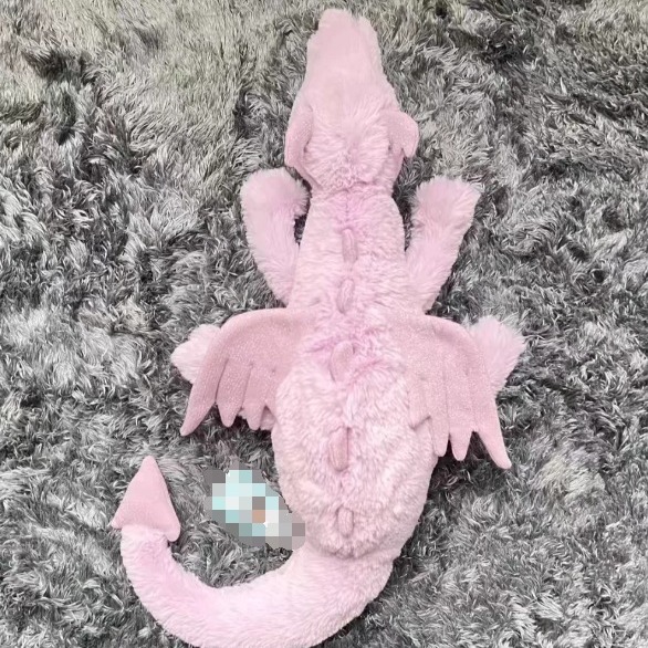 2024-08-25 16:35:48.jpg