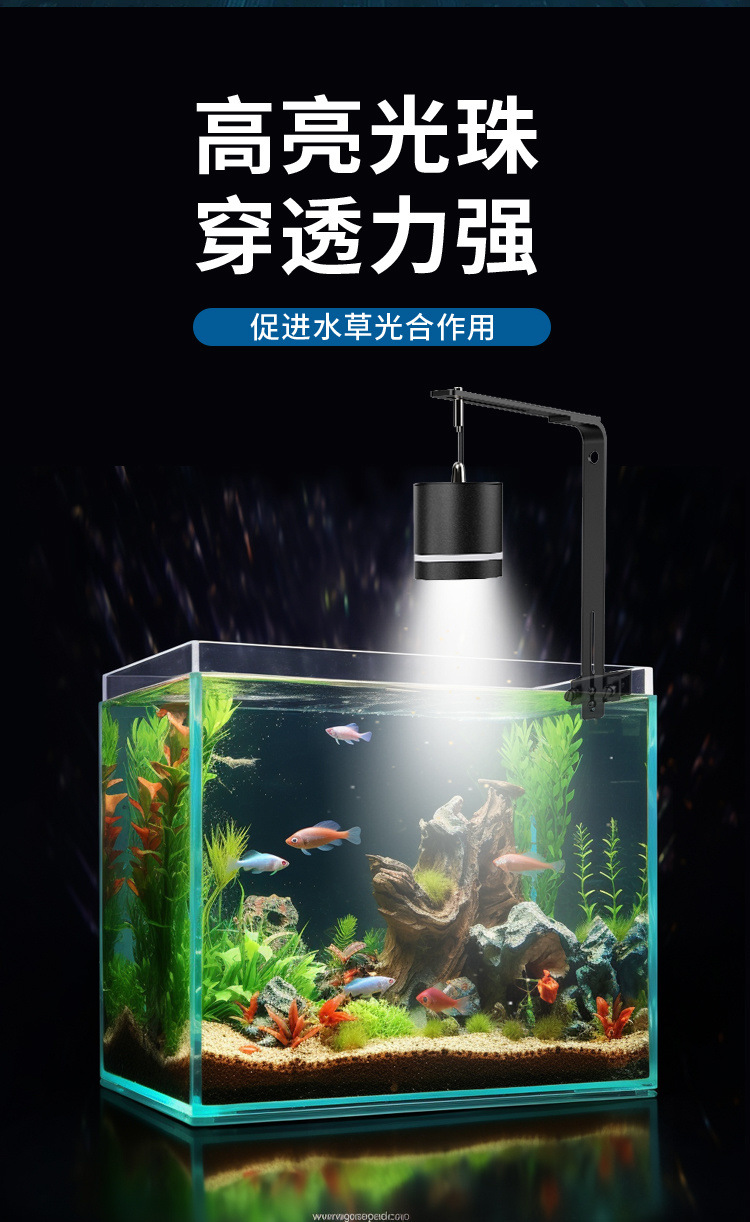 0b06d3a6-457a-4a1c-b23a-ba3026af4b9d.jpe