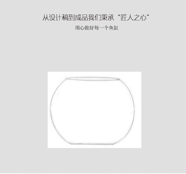 f2464552-581a-4307-8704-f3828a974df6.jpe